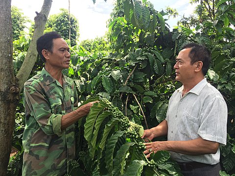 Hội viên cựu chiến binh trên mặt trận phát triển kinh tế gia đình